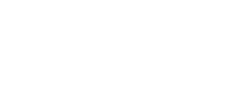Logo Nyx