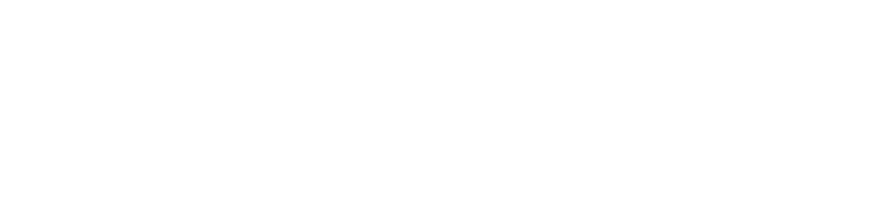 Logo Nyx