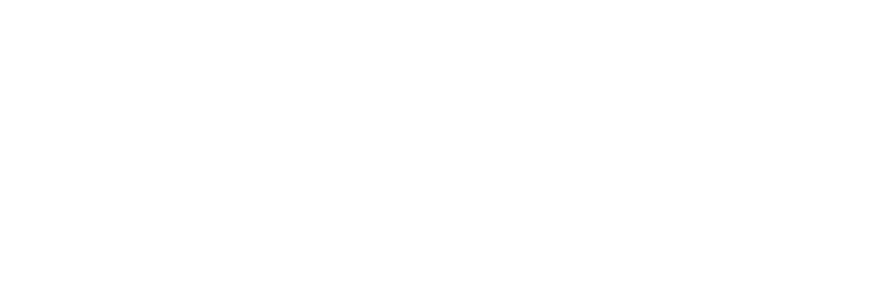 Logo Nyx